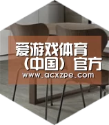 爱游戏体育（中国）官方网站 以专业化产品制胜