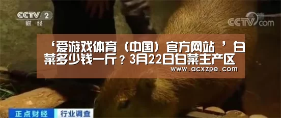 爱游戏体育（中国）官方网站 