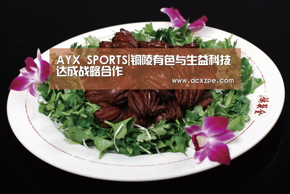 AYX SPORTS|铜陵有色与生益科技达成战略合作(图1) 爱游戏体育(中国)官方网站