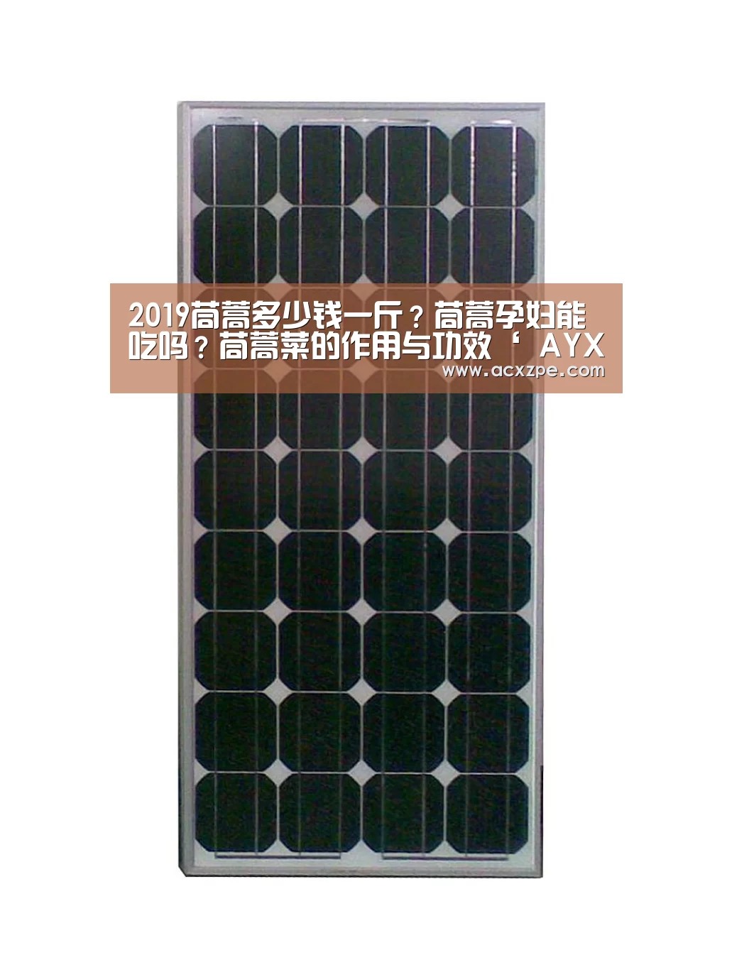 2019茼蒿多少钱一斤?茼蒿孕妇能吃吗?茼蒿菜的作用与功效‘ AYX SPORTS’(图2) 爱游戏体育(中国)官方网站