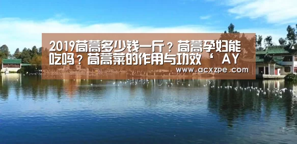 2019茼蒿多少钱一斤?茼蒿孕妇能吃吗?茼蒿菜的作用与功效‘ AYX SPORTS’(图4) AYX SPORTS