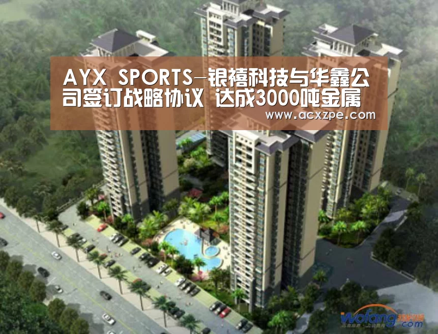 AYX SPORTS-银禧科技与华鑫公司签订战略协议 达成3000吨金属吨钴矿石原料供应合作(图2) AYX SPORTS