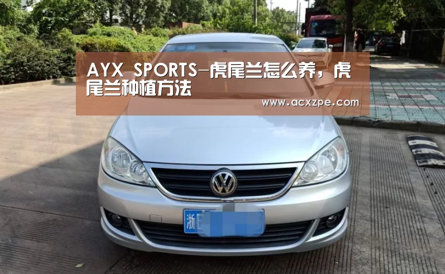 AYX SPORTS-虎尾兰怎么养,虎尾兰种植方法(图2) AYX SPORTS