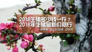 2018生猪多少钱一斤?2018年生猪最新价格行情“爱游戏体育(中国)官方网站 ”(图1) AYX SPORTS