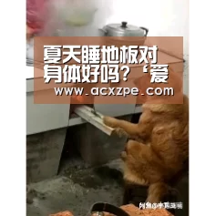 夏天睡地板对身体好吗?‘爱游戏体育(中国)官方网站 ’(图1) AYX SPORTS