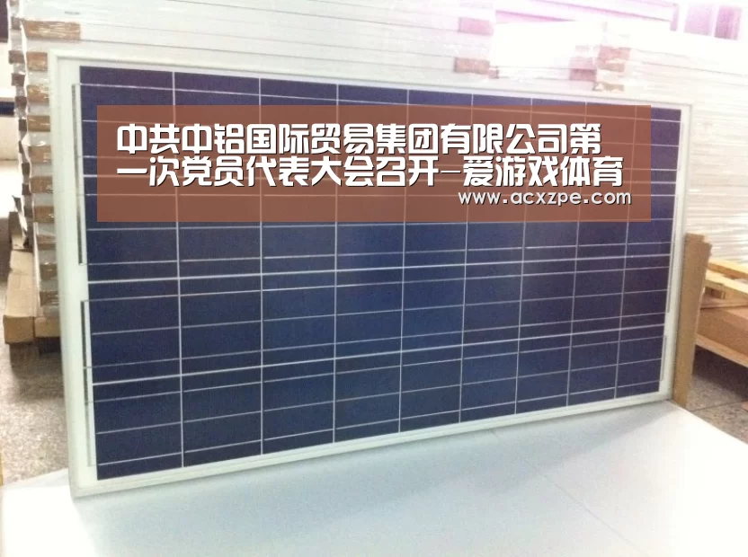 中共中铝国际贸易集团有限公司第一次党员代表大会召开-爱游戏体育(中国)官方网站 (图1) AYX SPORTS
