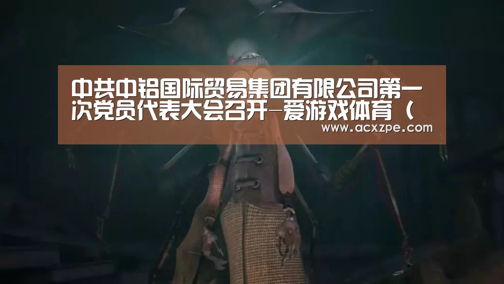中共中铝国际贸易集团有限公司第一次党员代表大会召开-爱游戏体育(中国)官方网站 (图3) AYX SPORTS