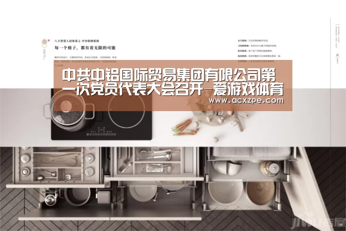 中共中铝国际贸易集团有限公司第一次党员代表大会召开-爱游戏体育(中国)官方网站 (图2) 爱游戏体育(中国)官方网站