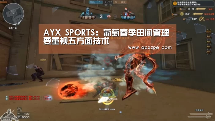 AYX SPORTS:葡萄春季田间管理要重视五方面技术(图1) 爱游戏体育(中国)官方网站