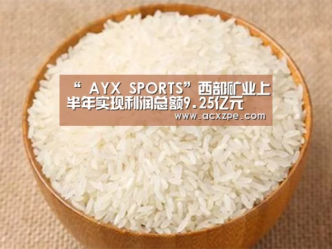 “ AYX SPORTS”西部矿业上半年实现利润总额9.25亿元(图2) AYX SPORTS