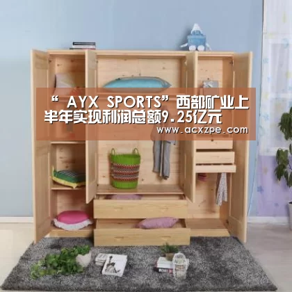 “ AYX SPORTS”西部矿业上半年实现利润总额9.25亿元(图3) 爱游戏体育(中国)官方网站