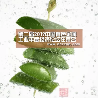 第二届2019中国有色金属工业年度经济论坛在京召开十位人物、十家企业获颁年度经济人物和领军企业‘爱游戏体育(中国)官方网站 ’(图1) AYX SPORTS