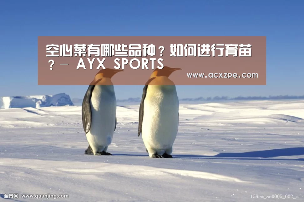 空心菜有哪些品种?如何进行育苗?- AYX SPORTS(图2) 爱游戏体育(中国)官方网站