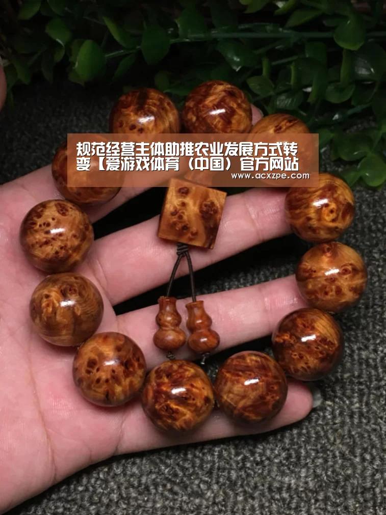 规范经营主体助推农业发展方式转变【爱游戏体育(中国)官方网站 】(图1) AYX SPORTS