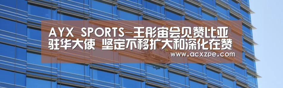 AYX SPORTS-王彤宙会见赞比亚驻华大使 坚定不移扩大和深化在赞投资合作(图2) 爱游戏体育(中国)官方网站