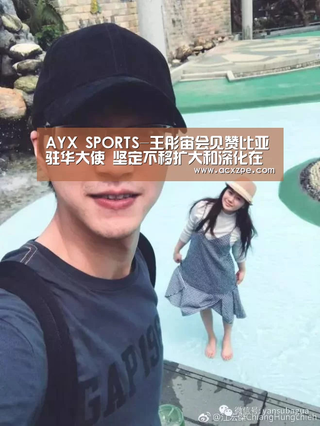 AYX SPORTS-王彤宙会见赞比亚驻华大使 坚定不移扩大和深化在赞投资合作(图1) AYX SPORTS