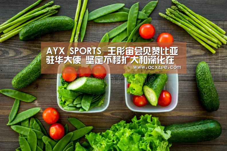 AYX SPORTS-王彤宙会见赞比亚驻华大使 坚定不移扩大和深化在赞投资合作(图3) AYX SPORTS