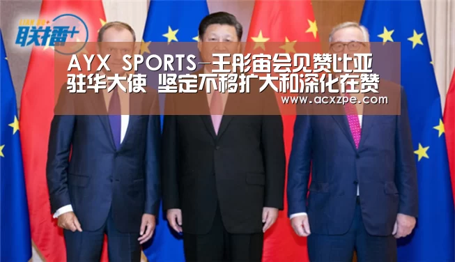 AYX SPORTS-王彤宙会见赞比亚驻华大使 坚定不移扩大和深化在赞投资合作(图4) 爱游戏体育(中国)官方网站