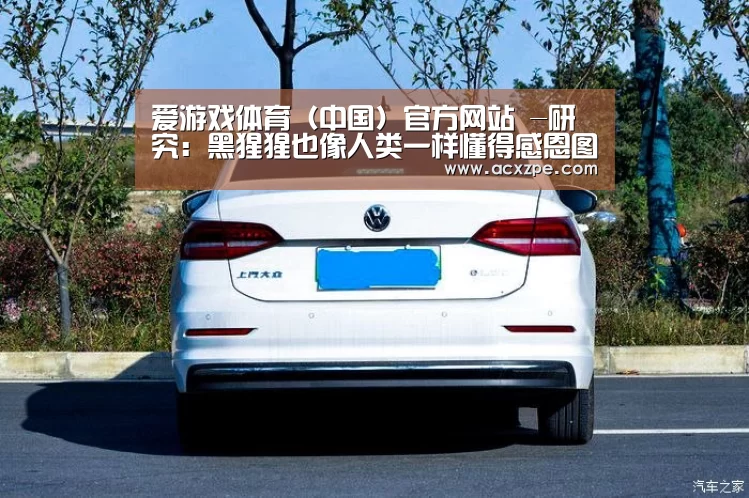 爱游戏体育（中国）官方网站 