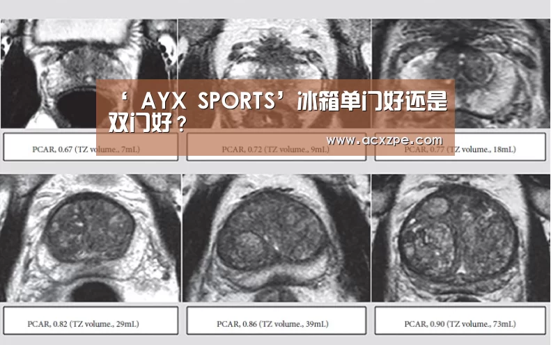 ‘ AYX SPORTS’冰箱单门好还是双门好?(图4) AYX SPORTS