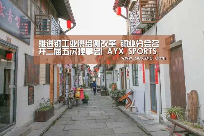 推进铜工业供给侧改革 铜业分会召开二届五次理事会| AYX SPORTS(图3) 爱游戏体育(中国)官方网站