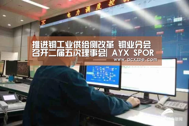 推进铜工业供给侧改革 铜业分会召开二届五次理事会| AYX SPORTS(图1) AYX SPORTS