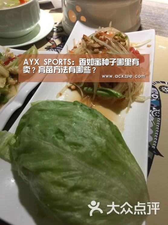 AYX SPORTS:香如蜜种子哪里有卖?育苗方法有哪些?(图2) AYX SPORTS
