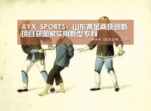 AYX SPORTS:山东黄金两项创新项目获国家实用新型专利(图2) 爱游戏体育(中国)官方网站