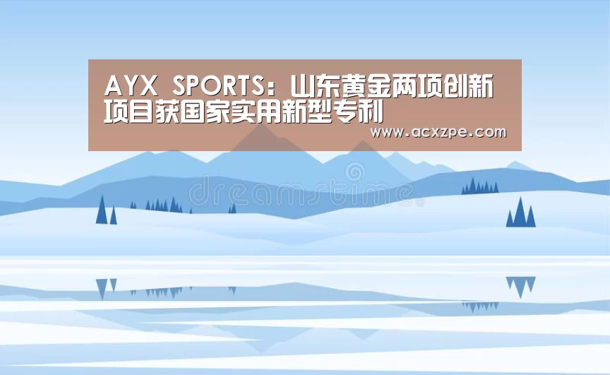 AYX SPORTS:山东黄金两项创新项目获国家实用新型专利(图3) 爱游戏体育(中国)官方网站