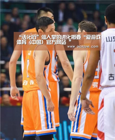 “活化石”仙人掌的进化概要“爱游戏体育(中国)官方网站 ”(图2) AYX SPORTS