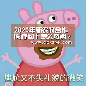 2020年新农村合作医疗网上怎么缴费?缴费截止时间是什么时候?- AYX SPORTS(图1) AYX SPORTS