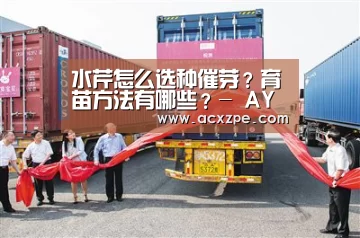 水芹怎么选种催芽?育苗方法有哪些?- AYX SPORTS(图1) AYX SPORTS